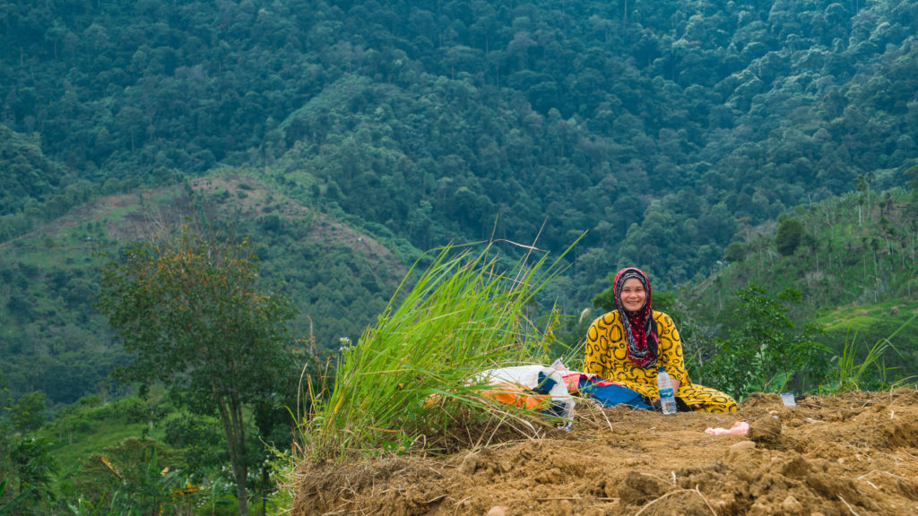 Incredible off grid homestead in the tropics