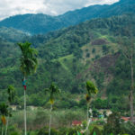 Bungalows with a view in Sumatra
