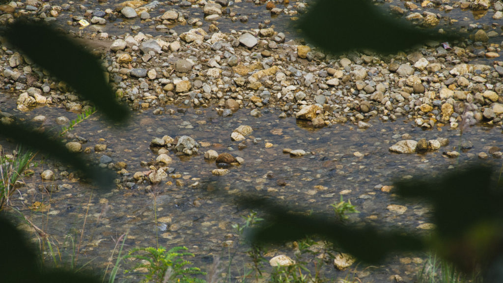 Dry season in Ketambe low river