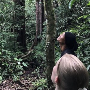 Orangutan Treks in Sumatra