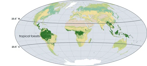 Koppen climate tropical rainforests